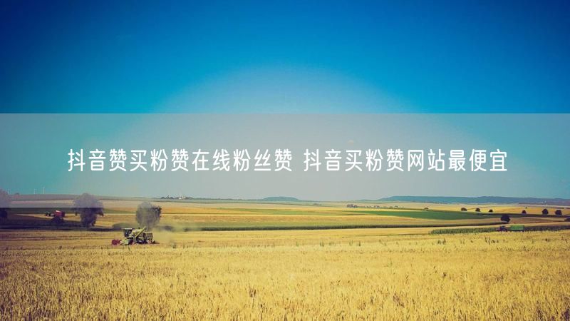抖音赞买粉赞在线粉丝赞 抖音买粉赞网站最便宜