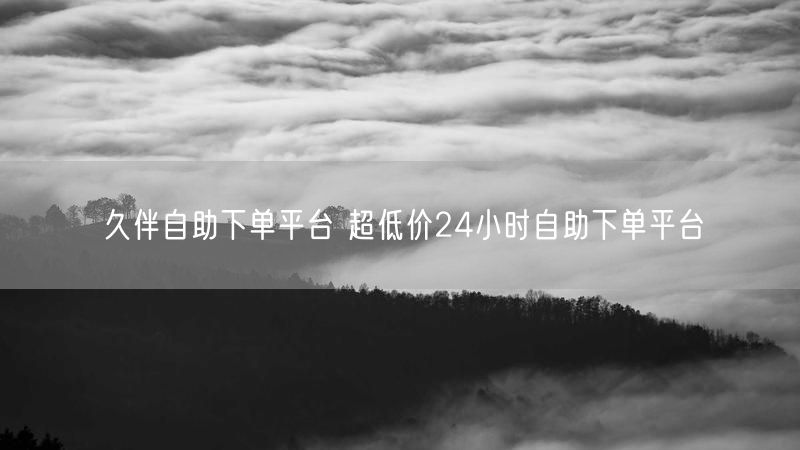 久伴自助下单平台 超低价24小时自助下单平台