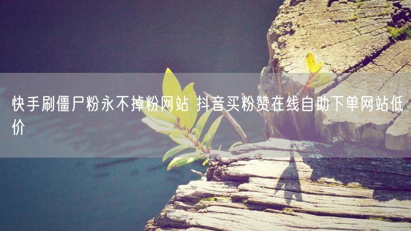 快手刷僵尸粉永不掉粉网站 抖音买粉赞在线自助下单网站低价
