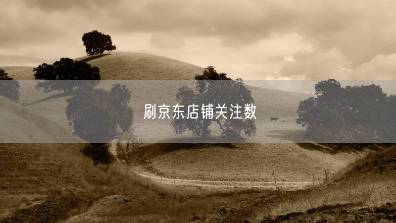 刷京东店铺关注数