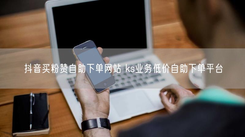 抖音买粉赞自助下单网站 ks业务低价自助下单平台