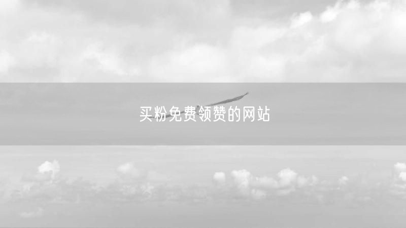 买粉免费领赞的网站