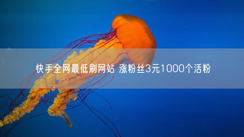 快手全网最低刷网站 涨粉丝3元1000个活粉