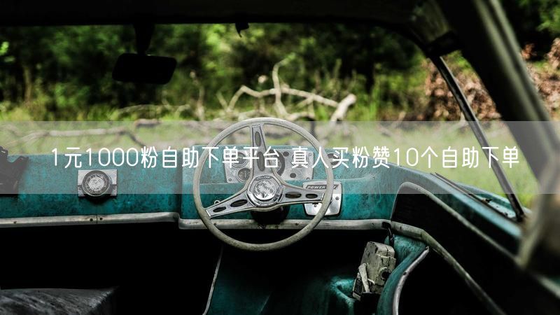 1元1000粉自助下单平台 真人买粉赞10个自助下单