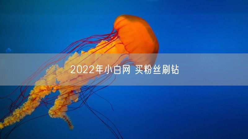 2022年小白网 买粉丝刷钻