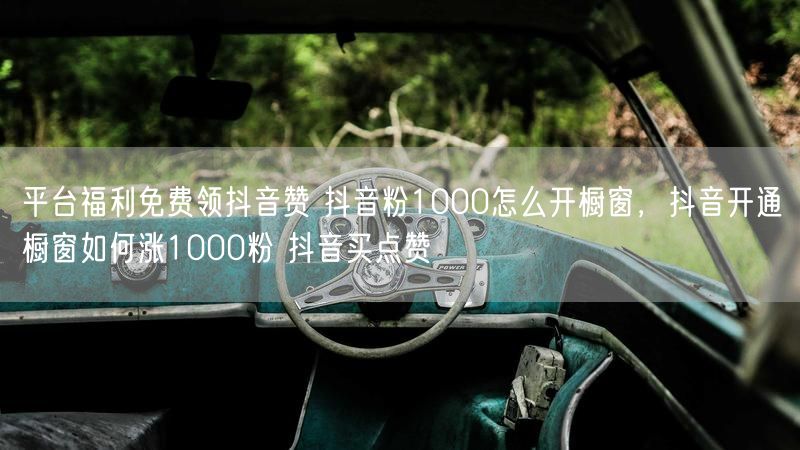 平台福利免费领抖音赞 抖音粉1000怎么开橱窗，抖音开通橱窗如何涨1000粉 抖音买点赞