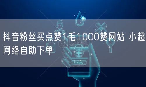 抖音粉丝买点赞1毛1000赞网站 小超网络自助下单
