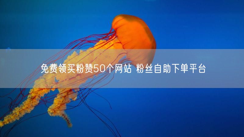 免费领买粉赞50个网站 粉丝自助下单平台