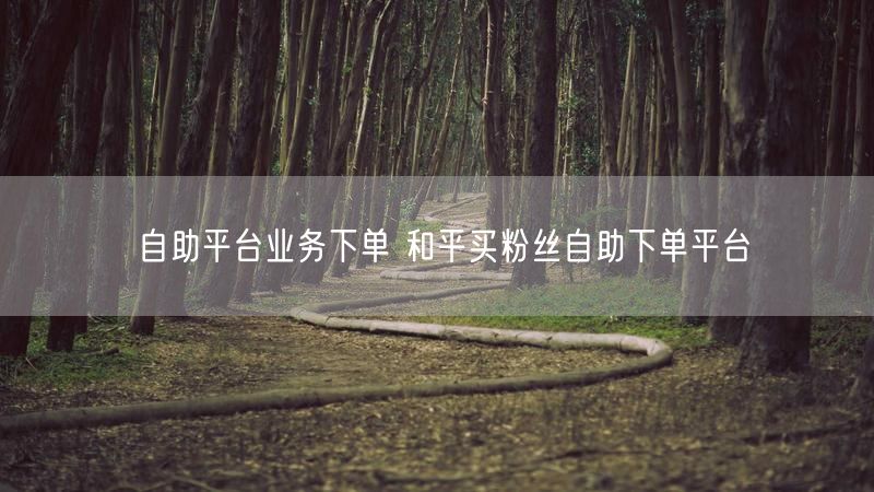 自助平台业务下单 和平买粉丝自助下单平台