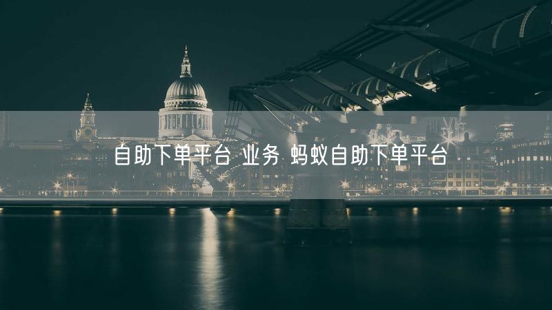 自助下单平台 业务 蚂蚁自助下单平台