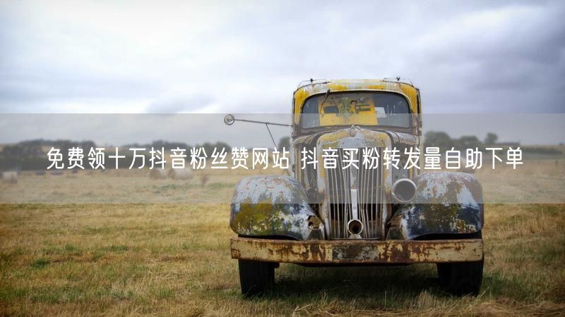免费领十万抖音粉丝赞网站 抖音买粉转发量自助下单