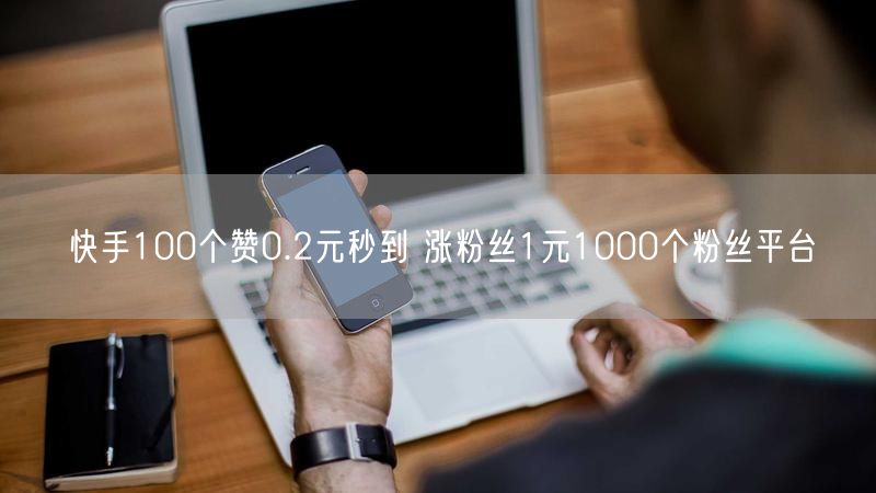 快手100个赞0.2元秒到 涨粉丝1元1000个粉丝平台