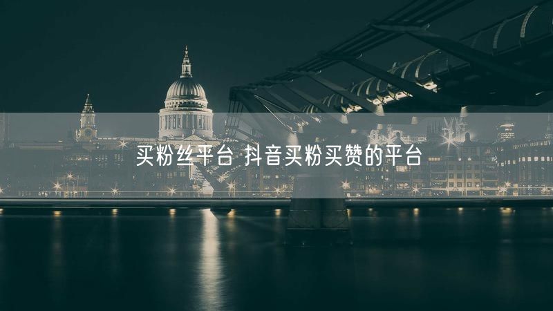 买粉丝平台 抖音买粉买赞的平台
