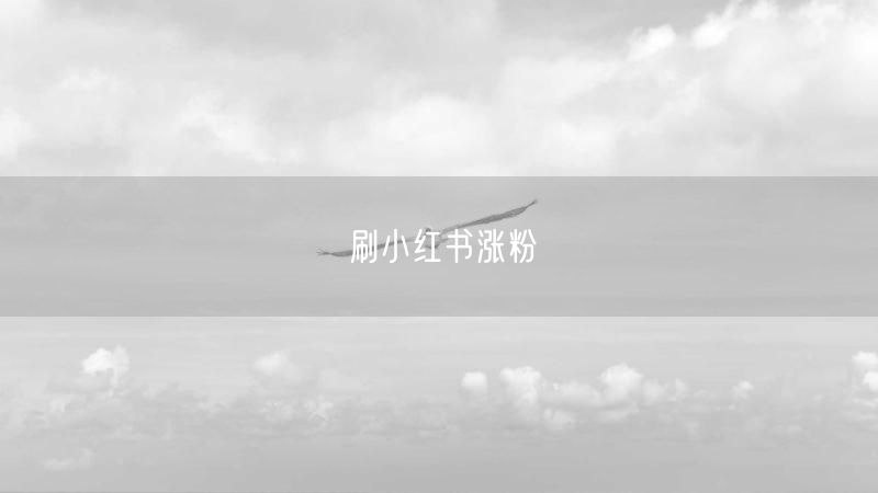 刷小红书涨粉