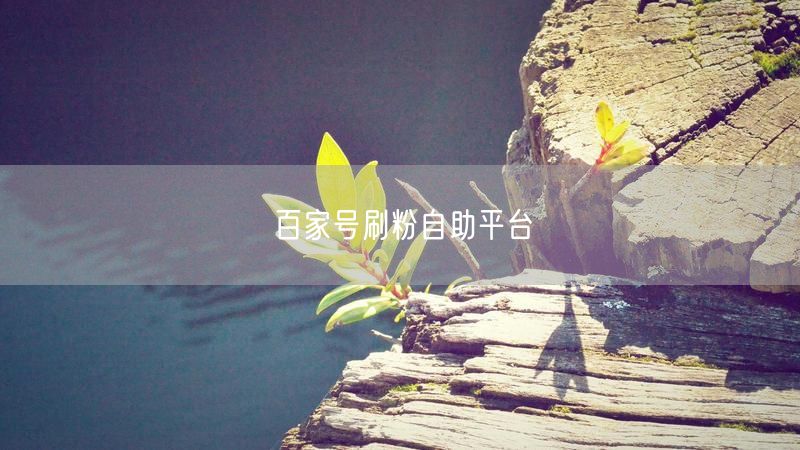 百家号刷粉自助平台