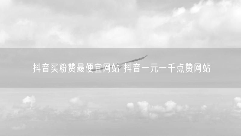 抖音买粉赞最便宜网站 抖音一元一千点赞网站