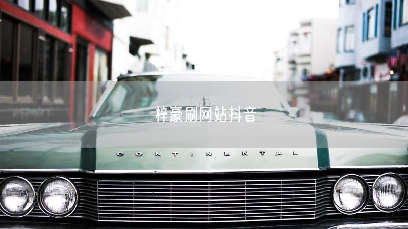 梓豪刷网站抖音