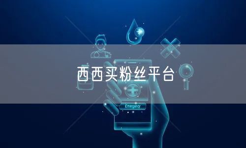 西西买粉丝平台