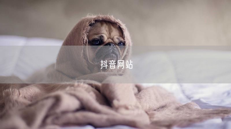 抖音网站