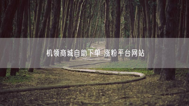 机领商城自助下单 涨粉平台网站