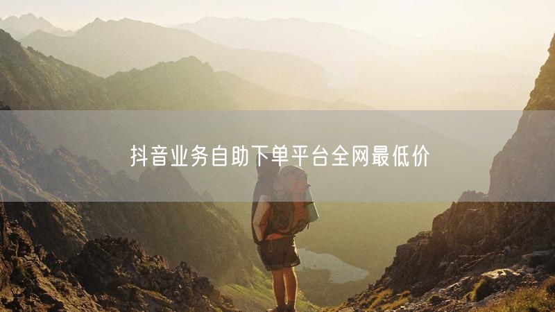 抖音业务自助下单平台全网最低价