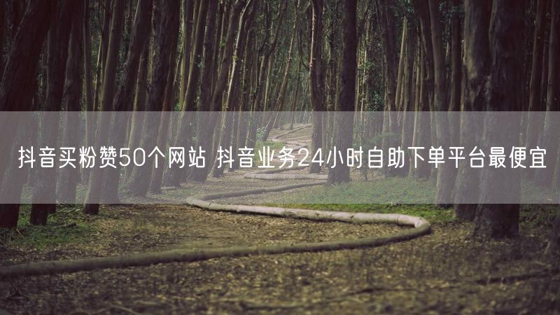 抖音买粉赞50个网站 抖音业务24小时自助下单平台最便宜