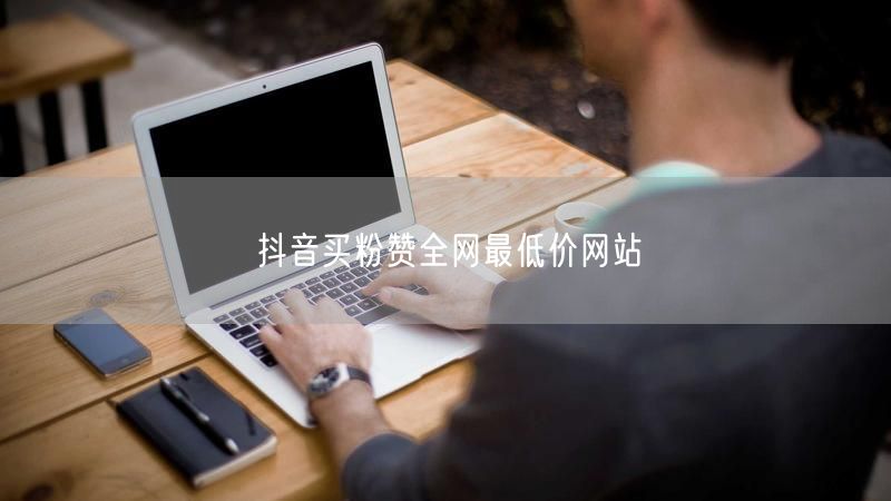 抖音买粉赞全网最低价网站