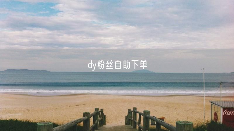dy粉丝自助下单