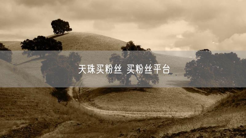 天珠买粉丝 买粉丝平台