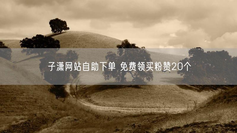 子潇网站自助下单 免费领买粉赞20个