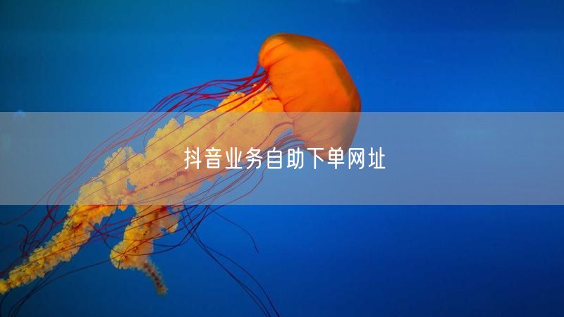 抖音业务自助下单网址