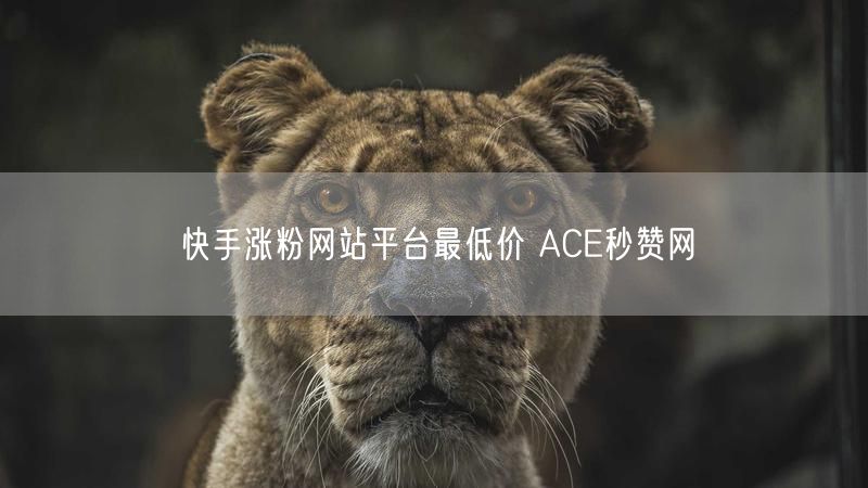 快手涨粉网站平台最低价 ACE秒赞网