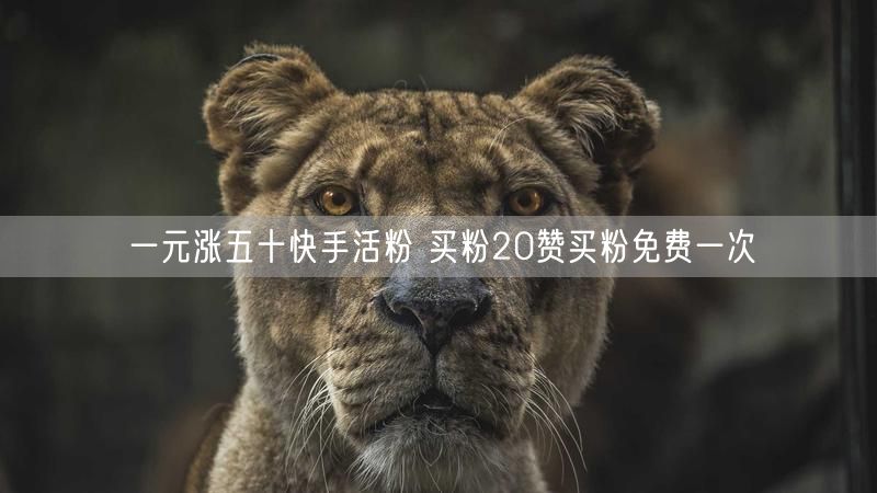 一元涨五十快手活粉 买粉20赞买粉免费一次
