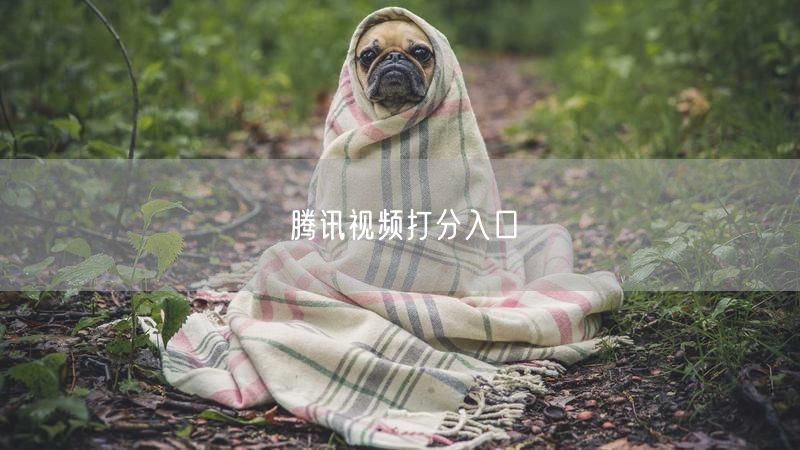 腾讯视频打分入口