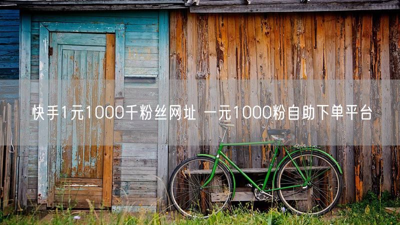 快手1元1000千粉丝网址 一元1000粉自助下单平台