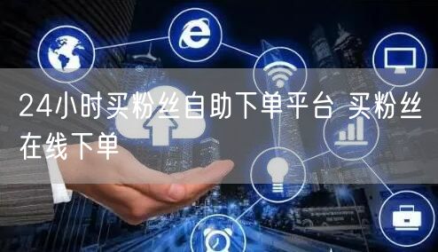 24小时买粉丝自助下单平台 买粉丝在线下单