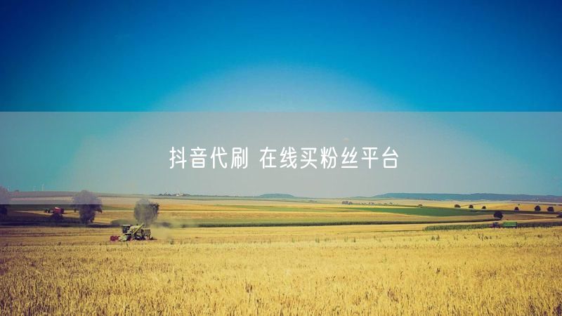 抖音代刷 在线买粉丝平台