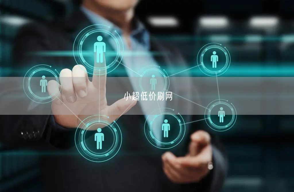 小超低价刷网