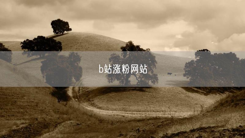 b站涨粉网站