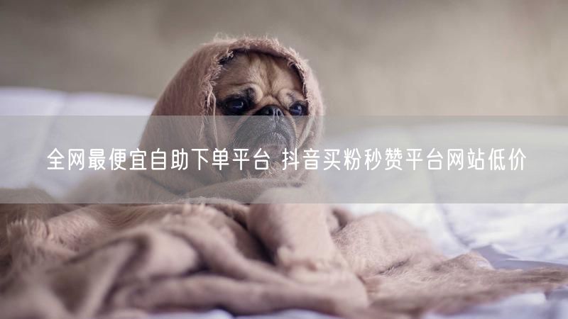全网最便宜自助下单平台 抖音买粉秒赞平台网站低价