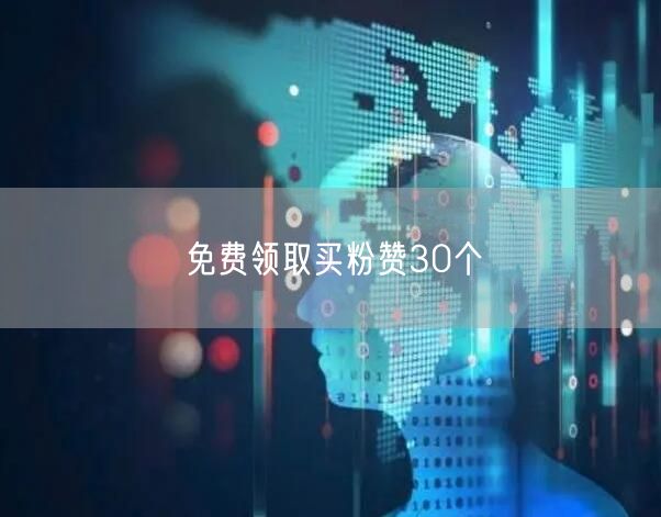 免费领取买粉赞30个