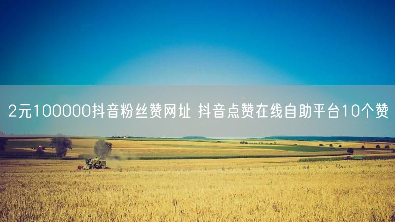 2元100000抖音粉丝赞网址 抖音点赞在线自助平台10个赞