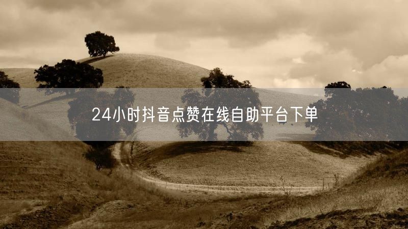 24小时抖音点赞在线自助平台下单