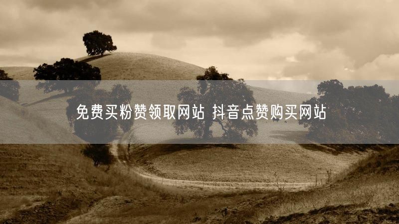 免费买粉赞领取网站 抖音点赞购买网站