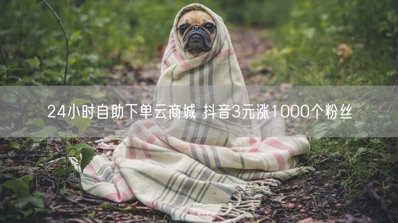 24小时自助下单云商城 抖音3元涨1000个粉丝