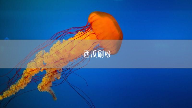 西瓜刷粉