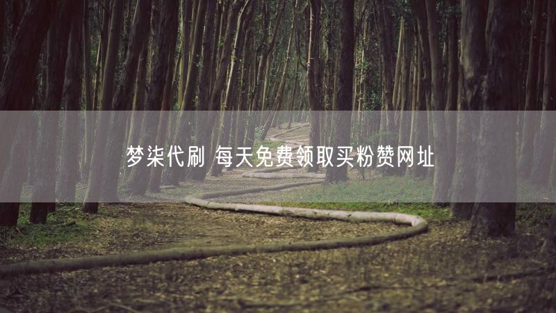 梦柒代刷 每天免费领取买粉赞网址