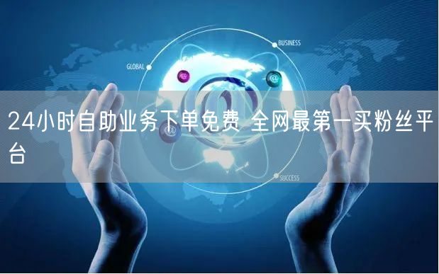24小时自助业务下单免费 全网最第一买粉丝平台
