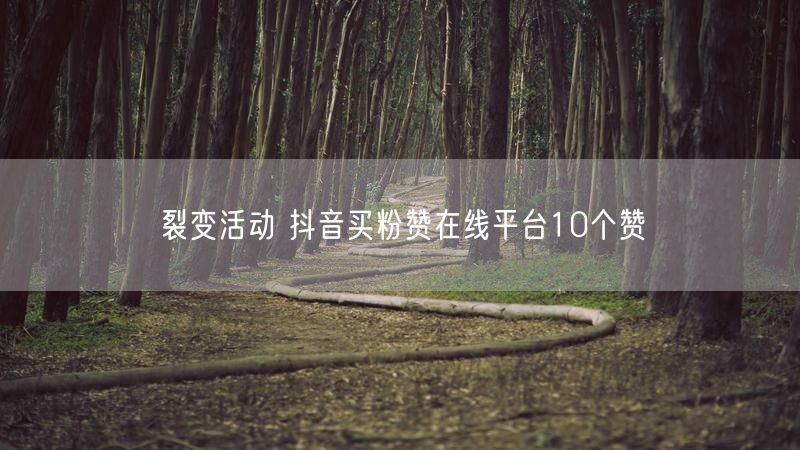 裂变活动 抖音买粉赞在线平台10个赞
