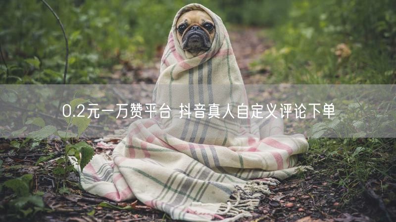 0.2元一万赞平台 抖音真人自定义评论下单